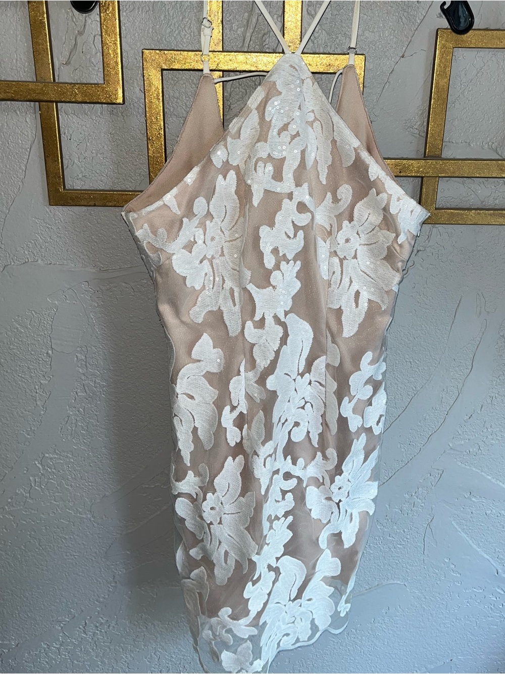 Sleeveless Lace Overlay Sheath Dress in Nude and White